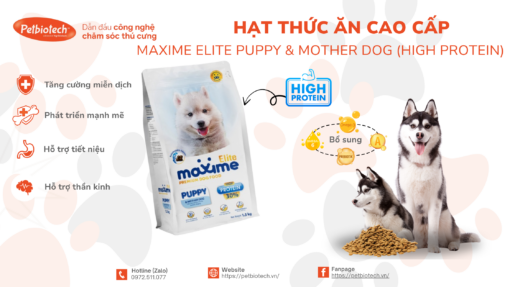 Hat thuc an cao cap Maxime Elite Puppy Mother