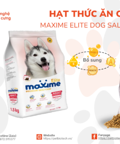 Hat thuc an cao cap Maxime Eliter Dog Salmon
