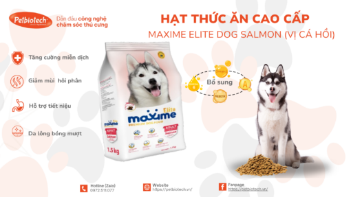 Hat thuc an cao cap Maxime Eliter Dog Salmon