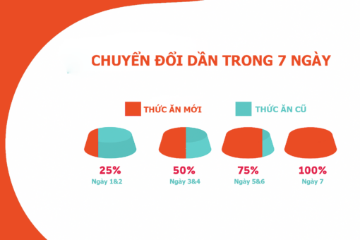 Huong dan doi thuc an 1