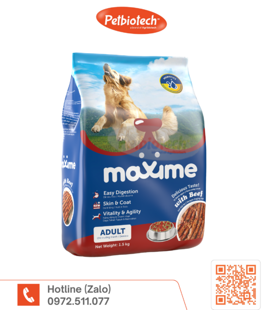 Maxime Adult