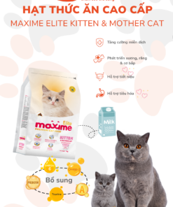 Maxime Elite Kitten mat 1