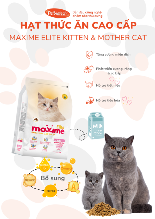 Maxime Elite Kitten mat 1