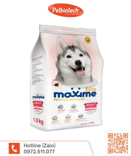 Maxime Elite adult dog