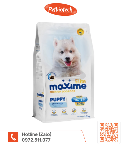 Maxime Elite puppy mother