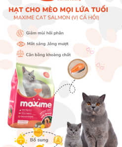 Maxime cat salmon mat 1