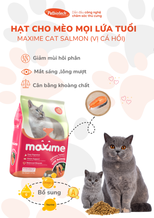 Maxime cat salmon mat 1