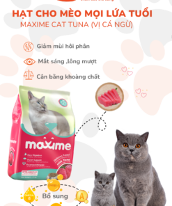 Maxime cat tuna mat 1