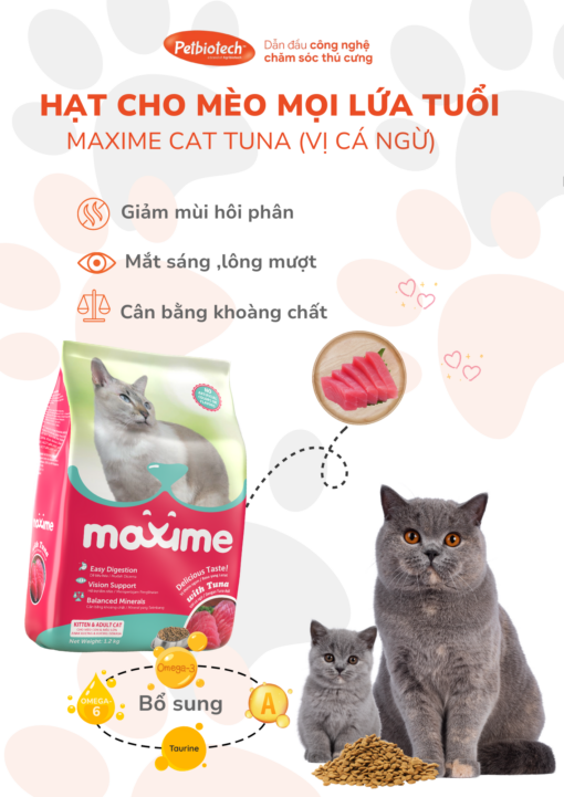 Maxime cat tuna mat 1