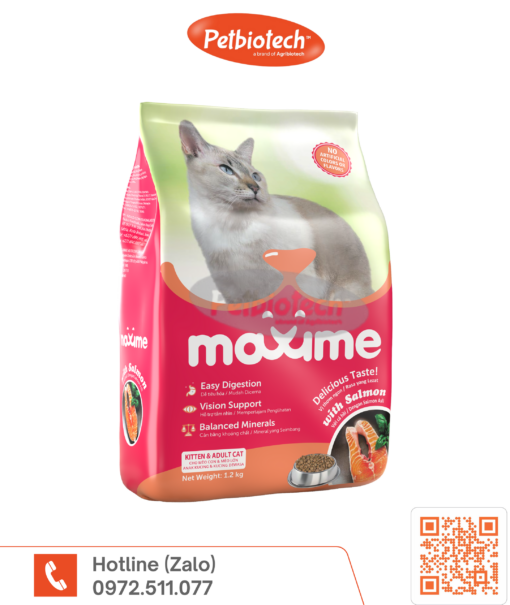 Maxime salmon