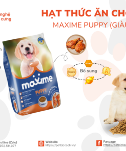 hat thuc an Maxime Puppy