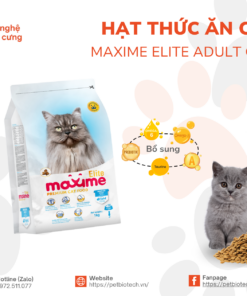 hat thuc an cao cap Maxime Eliter Adult cat Indoor