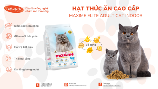 hat thuc an cao cap Maxime Eliter Adult cat Indoor