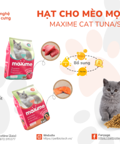 hat thuc an maxime cat tuna salmon