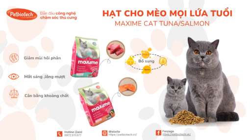 hat thuc an maxime cat tuna salmon