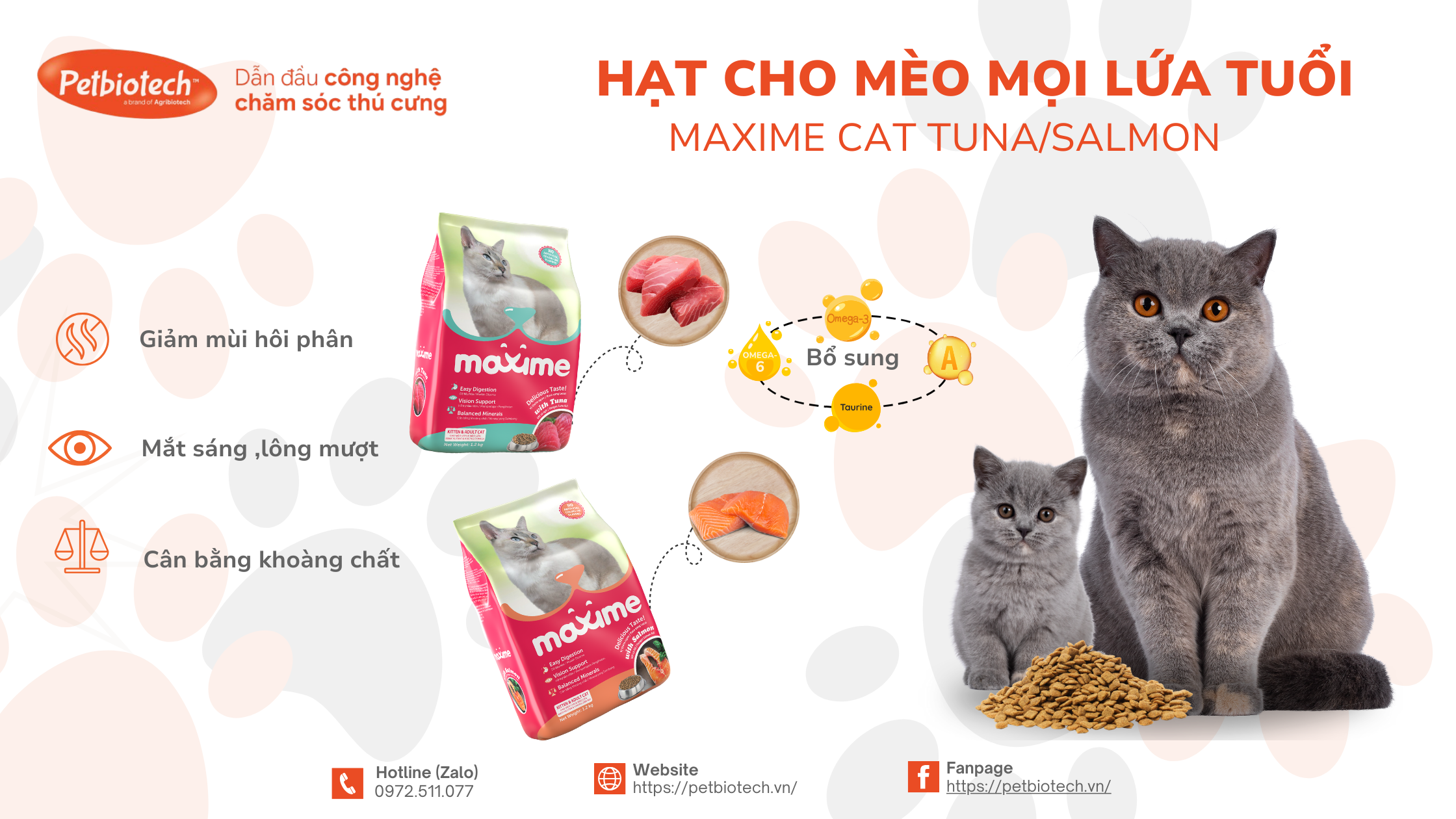 hat thuc an maxime cat tuna salmon
