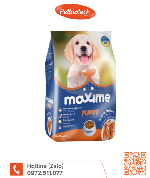 maxime Puppy