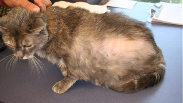 1 aa212107 1660 44d0 9c7e