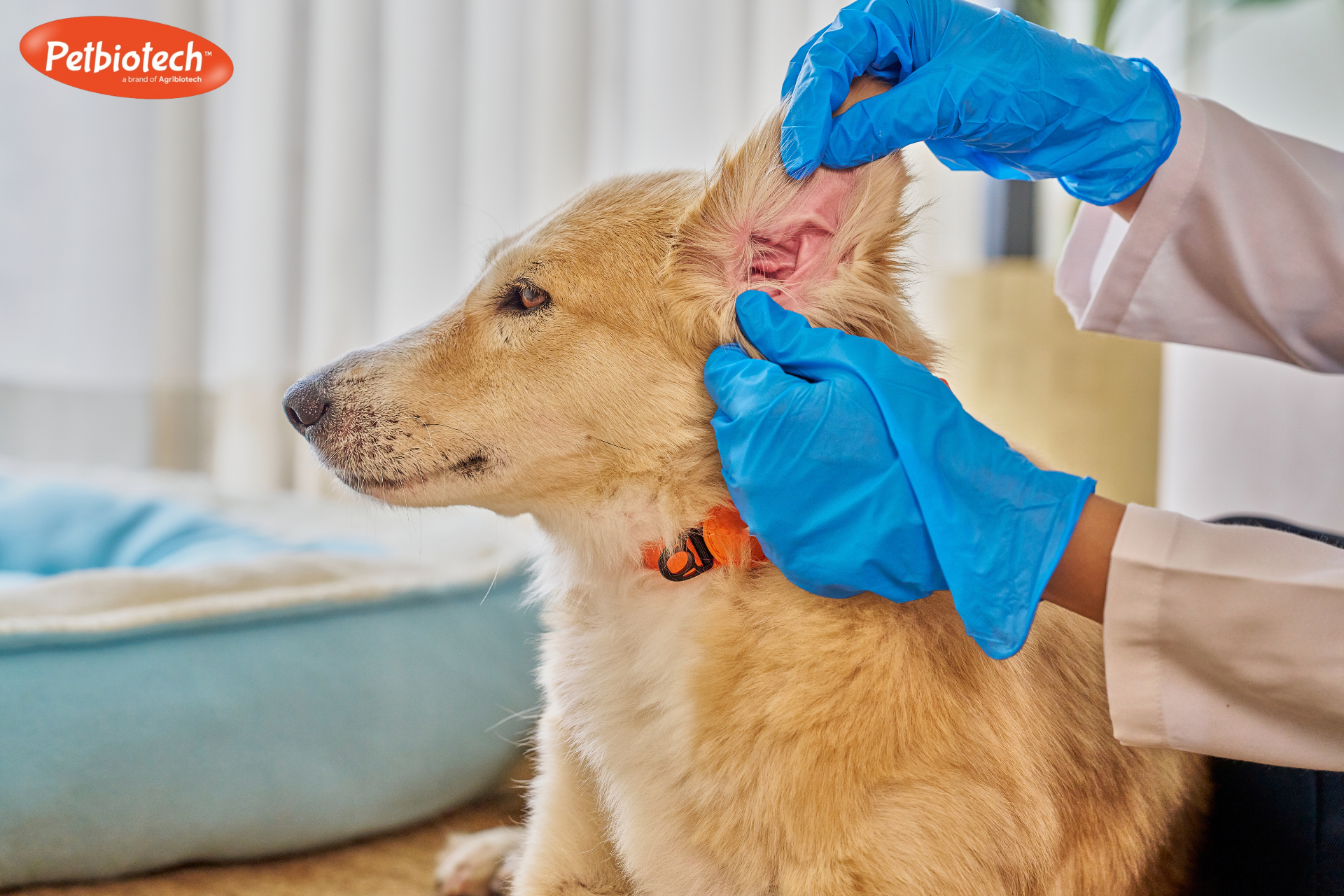 Thiet ke chua co ten