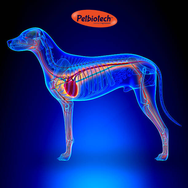 Thiet ke chua co ten 5