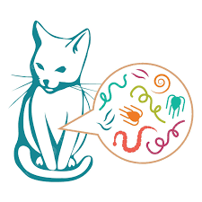 GIUN ĐƯỜNG RUỘT Ở MÈO: HƯỚNG DẪN CHI TIẾT CHO NGƯỜI NUÔI 1 images