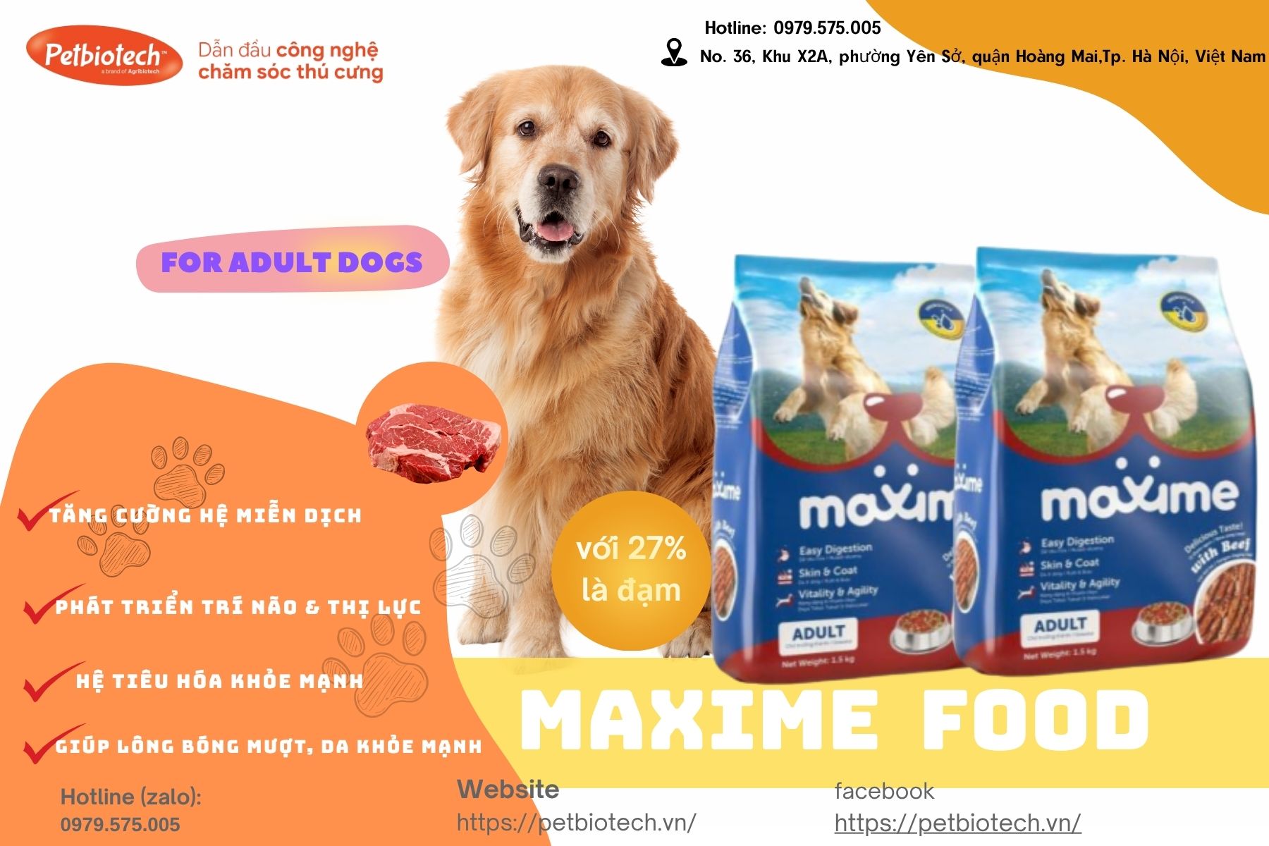 Blue Modern Sweet Cookies Product Label