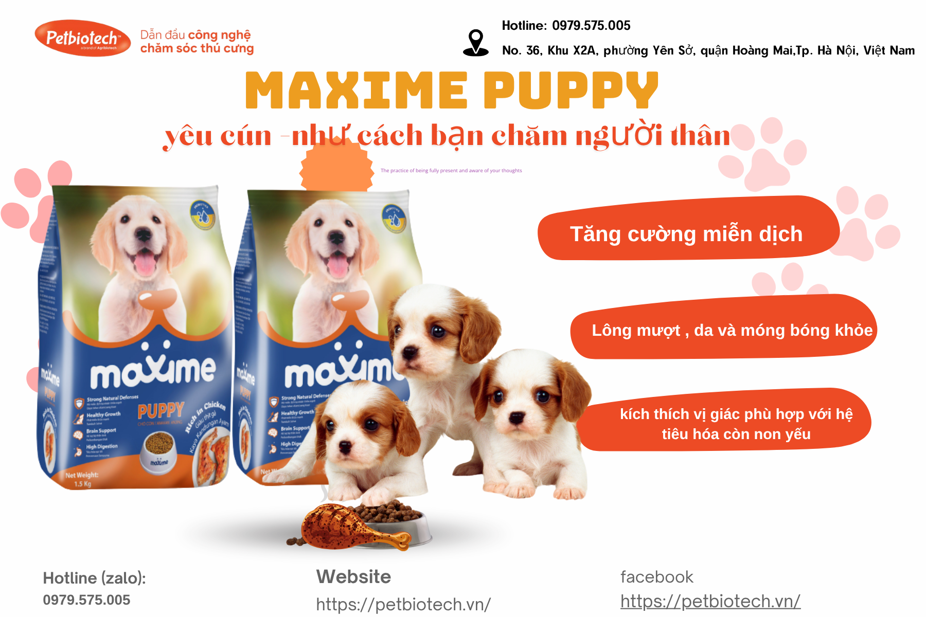 Blue Modern Sweet Cookies Product Label