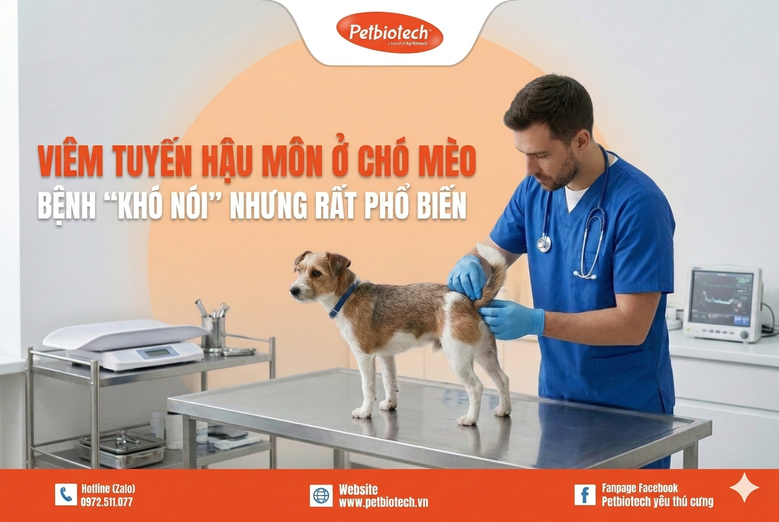 7 DẤU HIỆU NHẬN BIẾT VIÊM TUYẾN HẬU MÔN Ở CHÓ MÈO-BỆNH "KHÓ NÓI" NHƯNG RẤT PHỔ BIẾN 1 hau mon 2