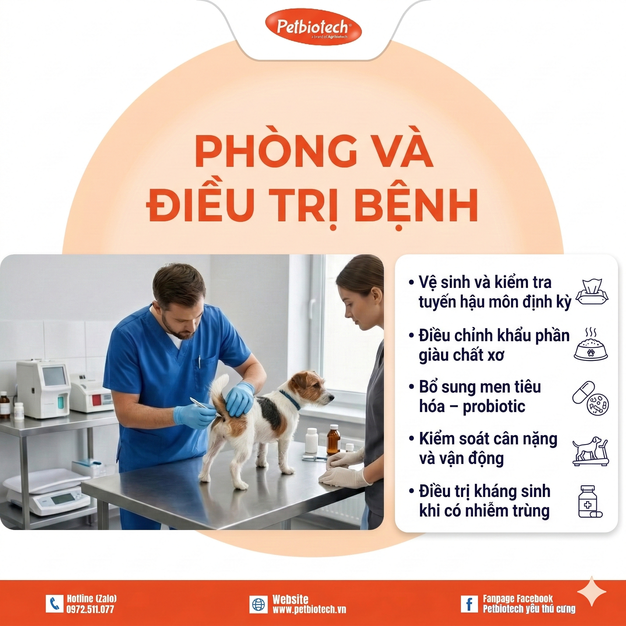 7 DẤU HIỆU NHẬN BIẾT VIÊM TUYẾN HẬU MÔN Ở CHÓ MÈO-BỆNH "KHÓ NÓI" NHƯNG RẤT PHỔ BIẾN 3 hau mon 3
