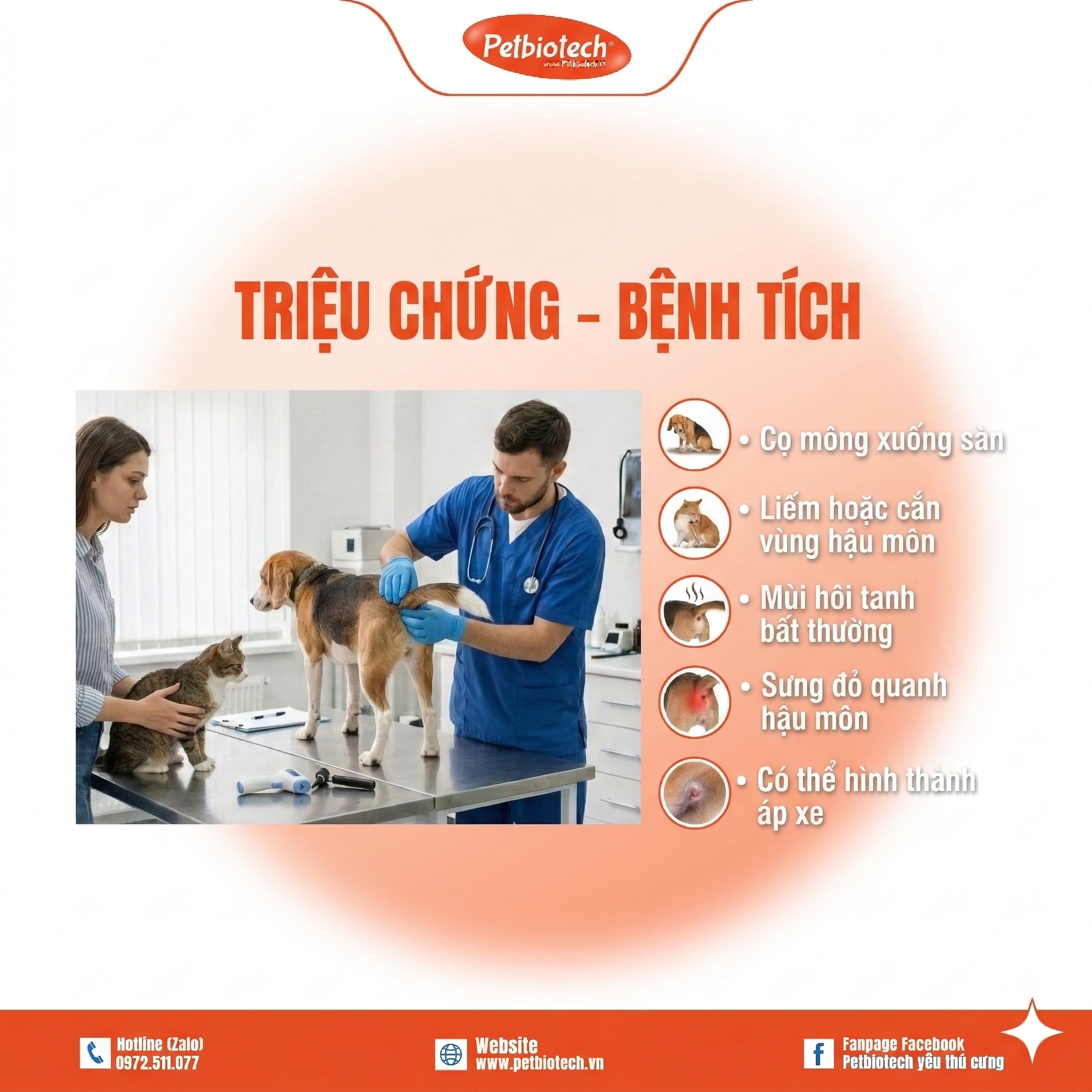 7 DẤU HIỆU NHẬN BIẾT VIÊM TUYẾN HẬU MÔN Ở CHÓ MÈO-BỆNH "KHÓ NÓI" NHƯNG RẤT PHỔ BIẾN 2 hau mon 4